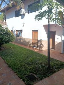 a house with a palm tree in the yard at Bodegon in Encarnación