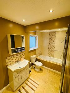 a bathroom with a toilet and a sink and a tub at Lord Windsor's Regal Chamber in Drogheda +31 photos