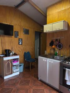 a kitchen with a sink and a stove top oven at Flor Austral in Chile Chico
