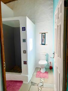 a bathroom with a white toilet in a room at Jambalau House in Lopes