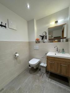 a bathroom with a toilet and a sink and a mirror at Ferienwohnungen Kieferbachtal in Kiefersfelden +49 photos