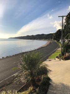 a beach with a palm tree on the side of a road at Te Mata Bay Seaviews in Tapu +18 photos