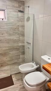 a bathroom with a toilet and a shower and a sink at Gris Urbano in Federación +14 photos