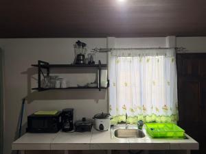 a kitchen counter with a sink and a window at Ticary Nature Homes in Guápiles +18 photos