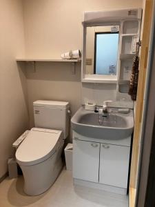 a small bathroom with a toilet and a sink at Wonder House in Shingū +14 photos