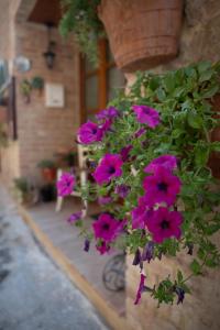 a bunch of purple flowers hanging from a building at Verde romantico in Città della Pieve +3 photos
