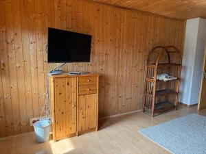 a room with a television on a wooden wall at Das Holzhaus in Haidershofen