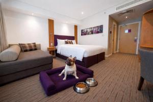 a dog sitting on a purple bed in a hotel room at Premier Inn Dubai Al Jaddaf - An Emirates Group Company in Dubai