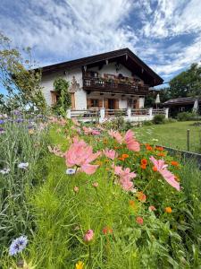 a field of flowers in front of a house at Fannys in Weißach