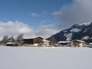 ein schneebedecktes Feld mit Gebäuden und Bergen in der Unterkunft Obersinnlehenhof in Maishofen