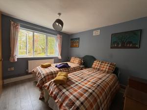 a bedroom with two beds and a window at Shannon River House & Gardens in Limerick +139 photos