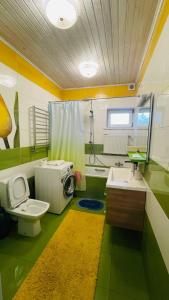a green and white bathroom with a toilet and a sink at Elit BonRe in Romny +97 photos