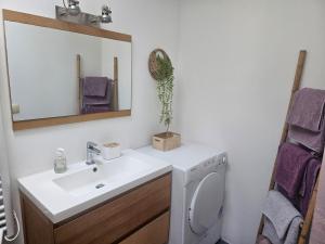 a bathroom with a sink and a washing machine at Gîte Les Durands in Cahors +9 photos
