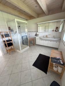 a bathroom with a shower and a sink and a tub at Black Forest Sports Loft in Achern +43 photos