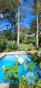 a swimming pool with white flowers and palm trees at Studio 149 - Wild Coast Accommodation in Sunrise-on-Sea