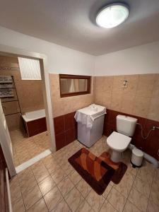 a bathroom with a toilet and a shower and a sink at U babičky in Suchov +27 photos