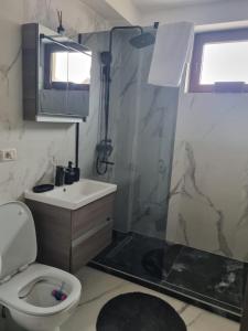 a bathroom with a shower and a toilet and a sink at ApuLux Apartments in Alba Iulia