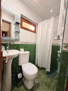 a bathroom with a toilet and a sink at Sunny Flower in Kutaisi +14 photos