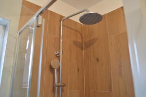 a shower with a shower head next to a wooden door at Anka Cozy Apartment in Galovac