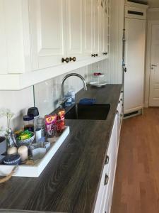 a kitchen with a sink and a counter top at Cottage With Private Dock By Eidangerfjord in Porsgrunn