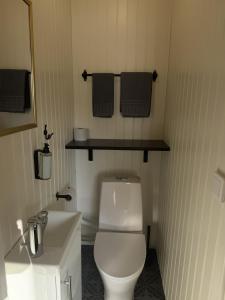 a bathroom with a white toilet and a sink at Villa Bergli in Malung +40 photos
