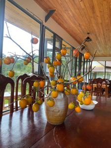 a bunch of oranges in a vase on a table at Đồi Lát Homestay in Da Lat