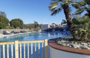 a swimming pool with a palm tree next to a fence at Camping Le Platin - La Redoute in Rivedoux-Plage