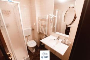 ein Badezimmer mit Waschbecken, Toilette und Spiegel in der Unterkunft Icy Chalet in Predeal