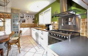 a kitchen with green walls and a stove top oven at Authentique Maison Piscine in La Cassaigne