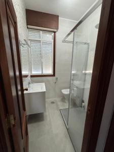 a bathroom with a shower and a sink and a toilet at A casa do Cabezo in Mougás +10 photos