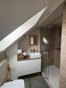 a bathroom with a sink and a shower at Au Petit Stub, studio 2 étoiles in Rosheim