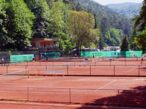 Tenis a/nebo squash v ubytování Hotel Goldbächel nebo okolí