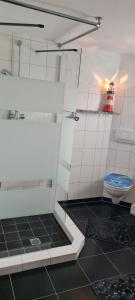a bathroom with a glass shower and a toilet at Ferienwohnung im Leuchtturmort Bastorf in Bastorf +20 photos