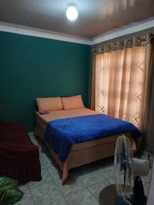 a bedroom with a bed with blue sheets and a fan at Efkay Guest in Thohoyandou