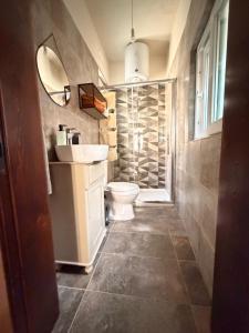 a bathroom with a toilet and a sink and a mirror at Ta' Marta Lodge in Victoria +26 photos