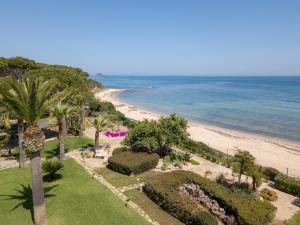 an aerial view of a beach with palm trees and the ocean at Villa Eura in Pula