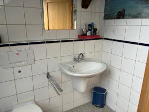 a bathroom with a sink and a toilet at Beim Schlangenkönig in Straupitz +6 photos