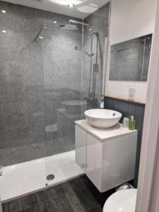 a bathroom with a sink and a glass shower at Broadway Country House in Laugharne