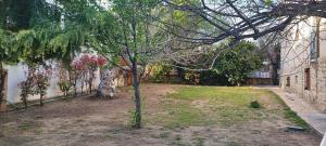 a small tree in a yard next to a building at Stone house with seaview in Nea Potidaea +177 photos
