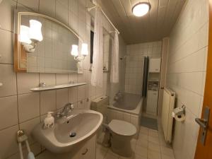 a bathroom with a sink and a toilet and a mirror at Ferienhaus Soonwald in Schwarzerden
