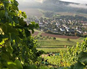 a view of a small town from a vineyard at Landhotel Kachelofa in Vaihingen an der Enz +20 photos