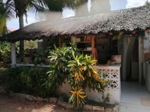 a small house with a thatched roof and plants at Susans cottages diani beach in Ukunda