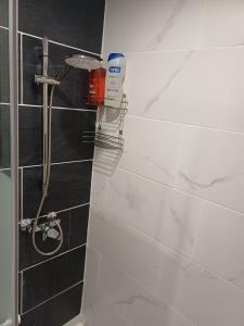 a bathroom with a shower with a blow dryer on the wall at glamour chic maison de 70 m2 in Montluçon