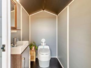 a small bathroom with a toilet and a sink at 1 Bed in Denbigh oc-91890 in Llanrhaiadr +30 photos