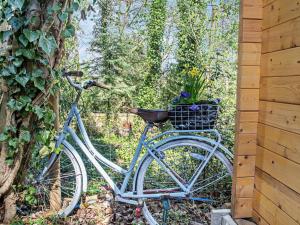 a blue bike parked next to a tree with a basket at 1 Bed in Denbigh oc-91890 in Llanrhaiadr