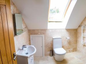 a bathroom with a toilet and a sink with a skylight at 2 Bed in Narberth oc-36797 in Llawhaden +9 photos