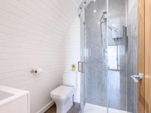a bathroom with a toilet and a glass shower at 1 Bed in Corwen oc-80321 in Gwyddelwern +12 photos