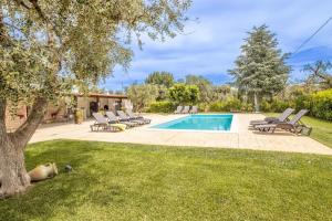 a swimming pool with lounge chairs and a tree at Trulli degli Augelli by BarbarHouse in San Michele Salentino