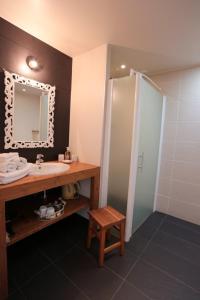 a bathroom with a sink and a mirror and a shower at Kerlenn in Baden +20 photos