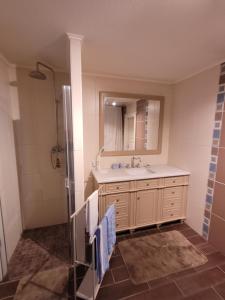 a bathroom with a sink and a shower with a mirror at Haus Sonnengarten in Brokstedt +4 photos